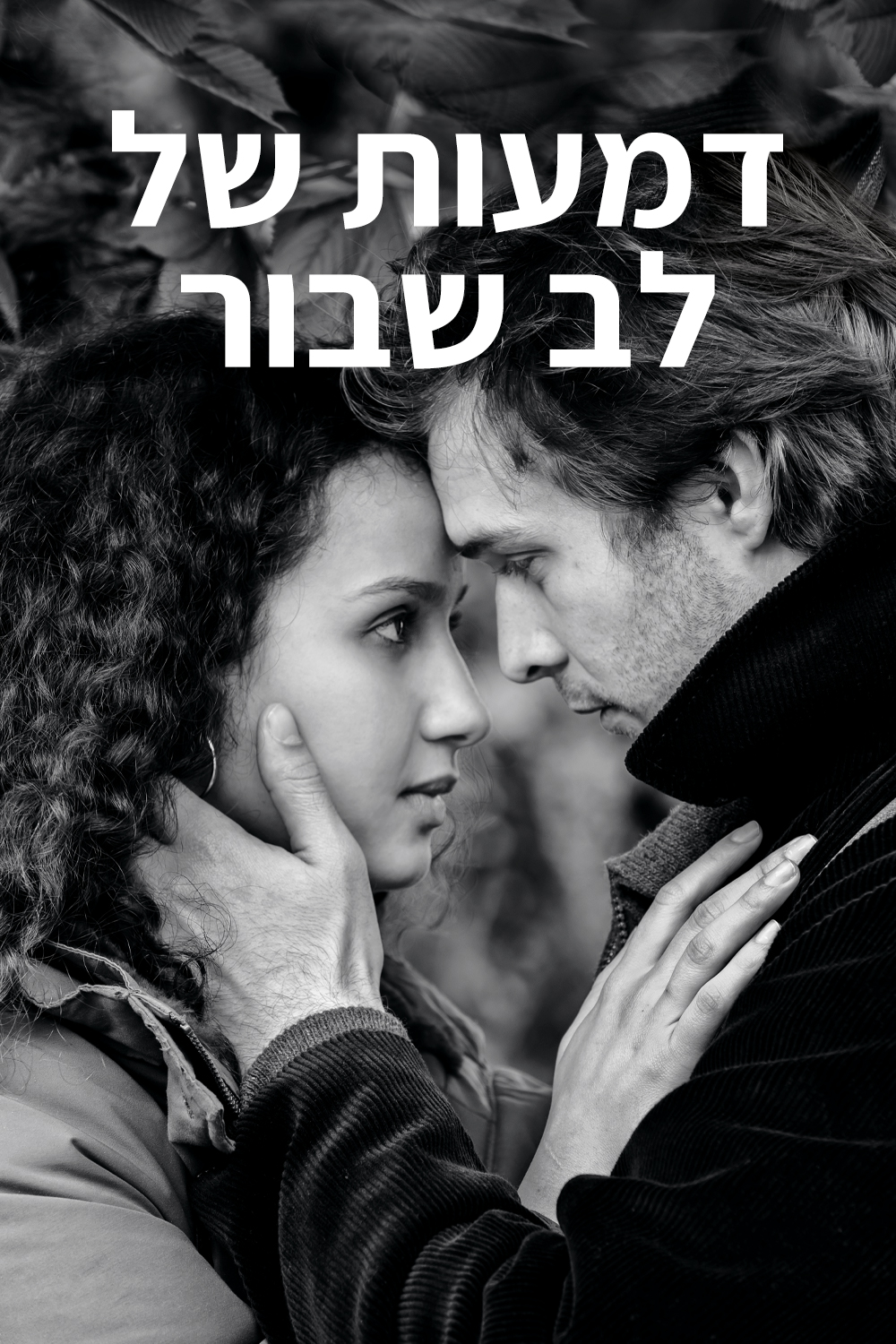 דמעות של לב שבור | LEV
