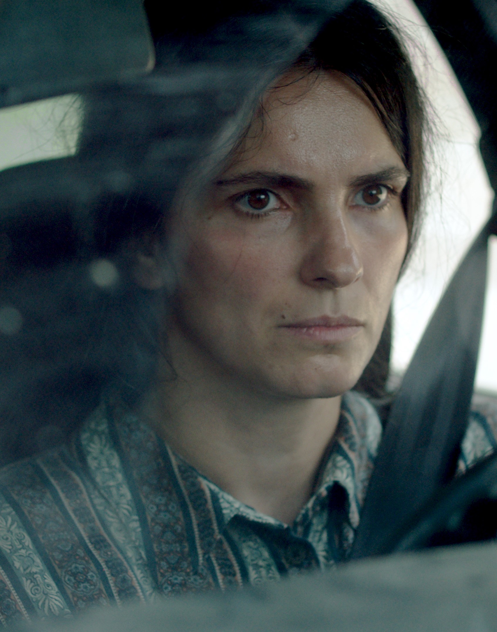 כוורת (פסטיבל ירושלים)