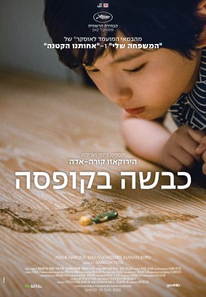 כבשה בקופסה